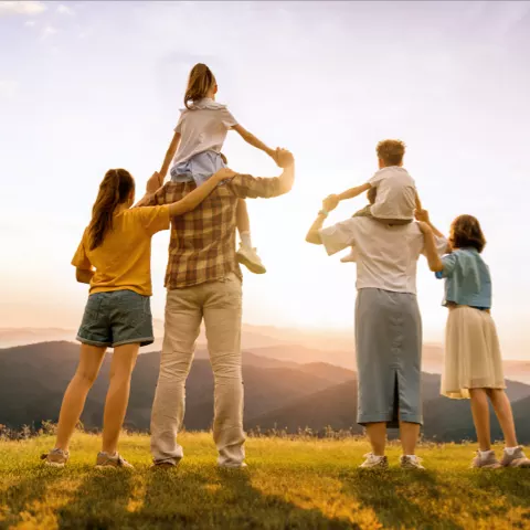 Whole life insurance